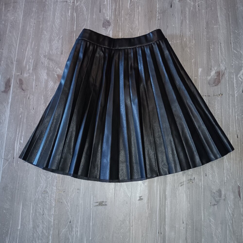 Faux Leather Pleated Skater Skirt